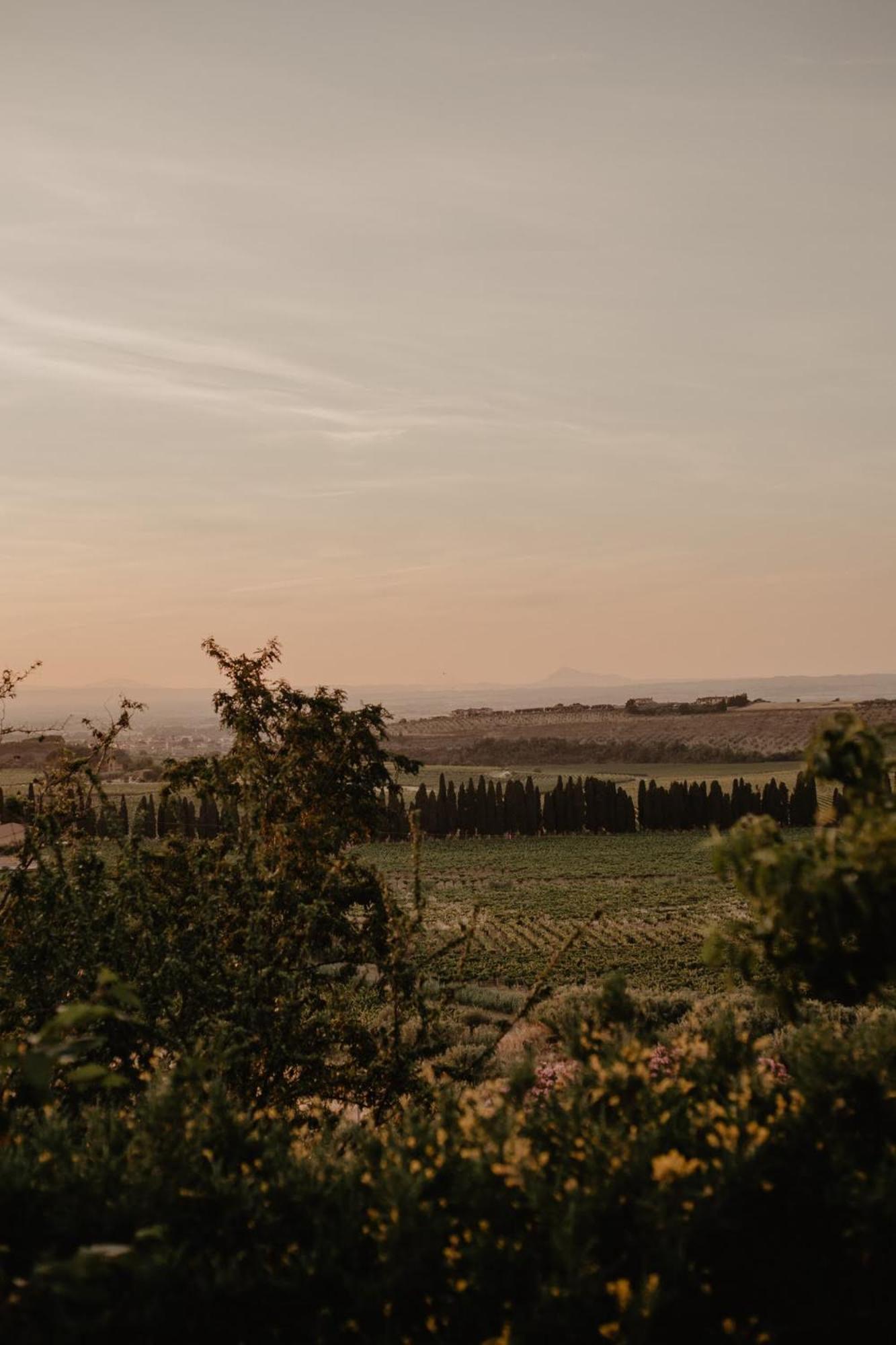 Merumalia Wine Resort Frascati Exterior photo