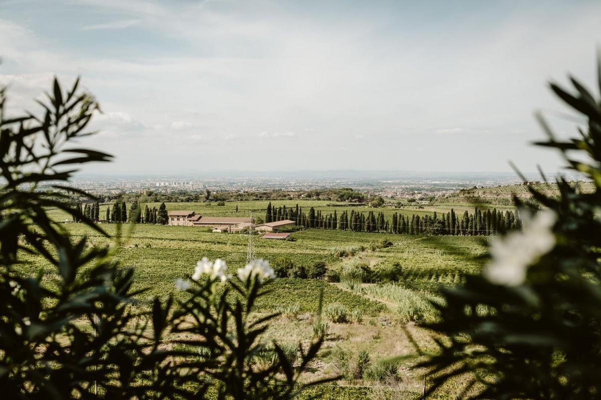 Merumalia Wine Resort Frascati Exterior photo