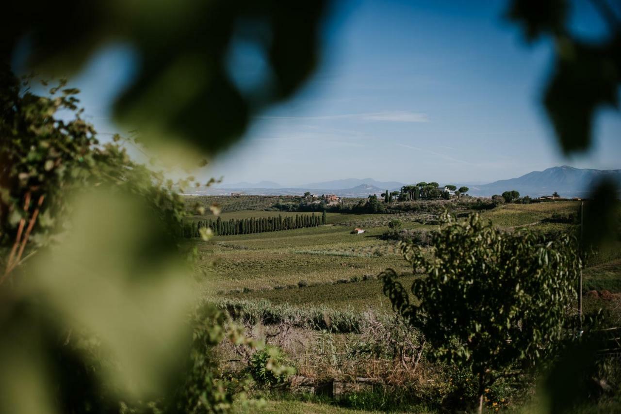 Merumalia Wine Resort Frascati Exterior photo